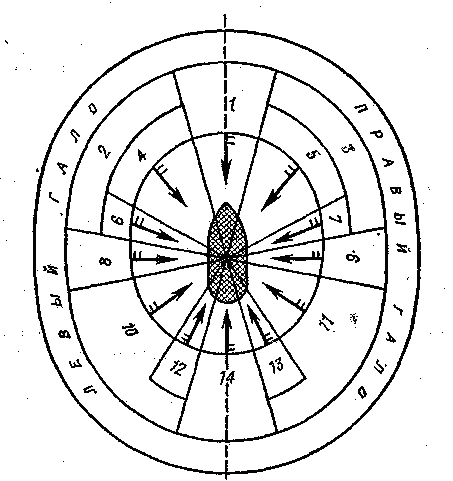 Учись морскому делу _5.png_0