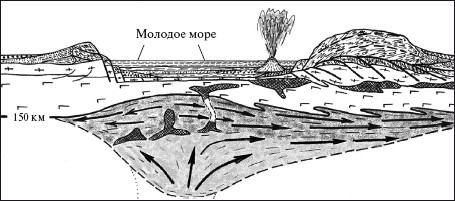 Верхом на бомбе. Судьба планеты Земля и ее обитателей i_018.jpg