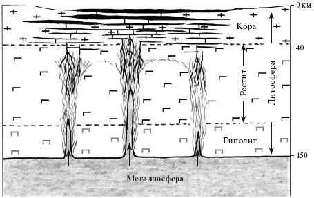 Верхом на бомбе. Судьба планеты Земля и ее обитателей i_025.jpg