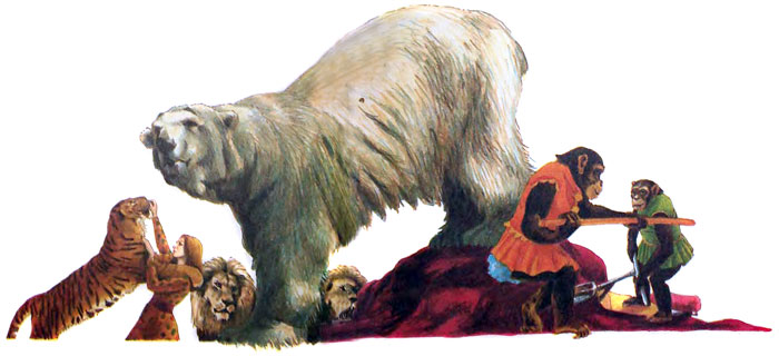 Фрам — полярный медведь i_012.jpg