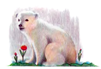 Фрам — полярный медведь i_026.jpg