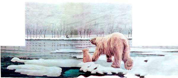 Фрам — полярный медведь i_029.jpg
