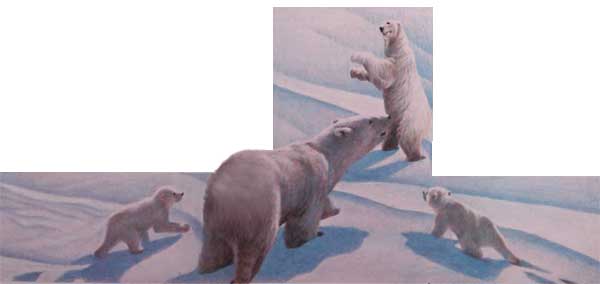Фрам — полярный медведь i_054.jpg