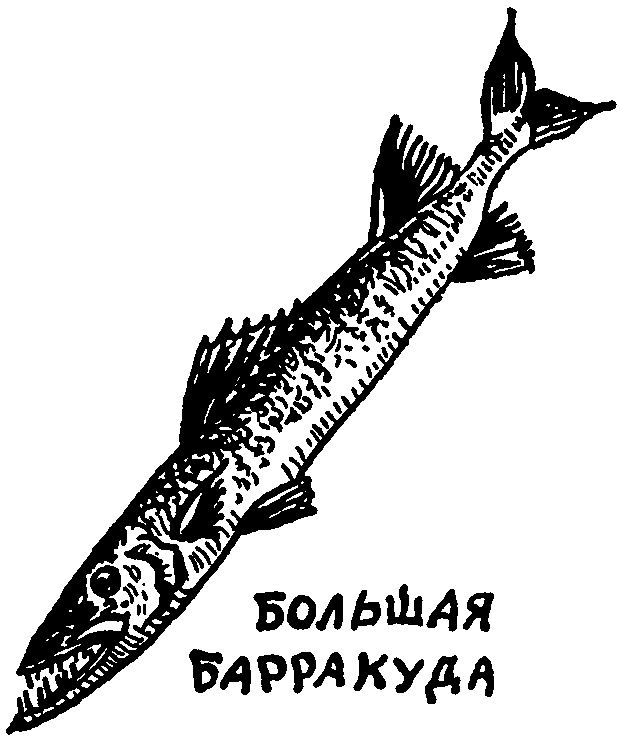 Клуб знаменитых капитанов. Книга 1 pic44.png