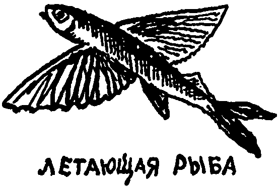 Клуб знаменитых капитанов. Книга 1 pic47.png