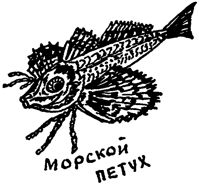 Клуб знаменитых капитанов. Книга 1 pic48.png