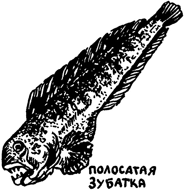 Клуб знаменитых капитанов. Книга 1 pic52.png