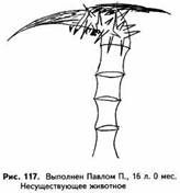 Психологические рисуночные тесты pic117.jpg