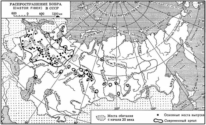 Большая Советская Энциклопедия (БО) i009-001-209194481.jpg