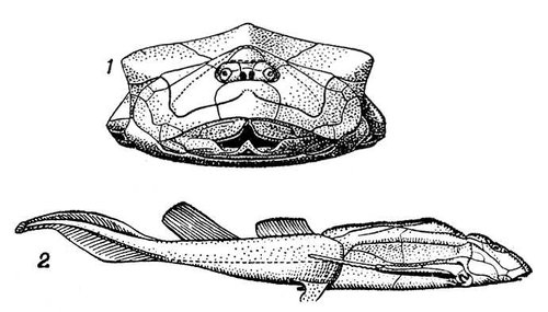 Большая Советская Энциклопедия (БО) i009-001-222912659.jpg