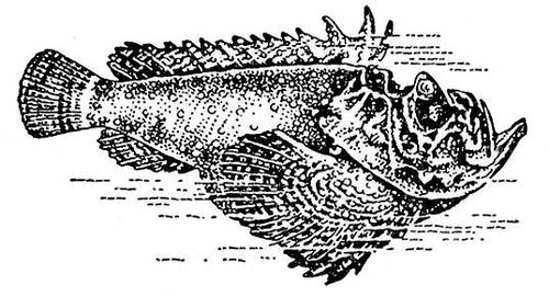 Большая Советская Энциклопедия (БО) i010-001-246252814.jpg