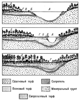 Большая Советская Энциклопедия (БО) i010-001-262536718.jpg