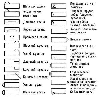 Большая Советская Энциклопедия (БО) i010-001-264293986.jpg