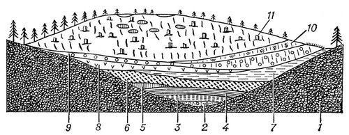 Большая Советская Энциклопедия (БО) i010-001-275300135.jpg