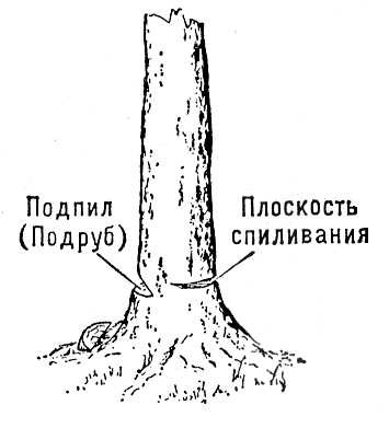 Большая Советская Энциклопедия (ВА) i009-001-239190865.jpg