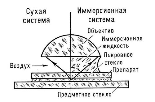 Большая Советская Энциклопедия (ИМ) i009-001-207259850.jpg