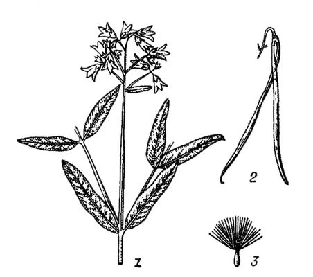 Большая Советская Энциклопедия (КЕ) i010-001-244070883.jpg