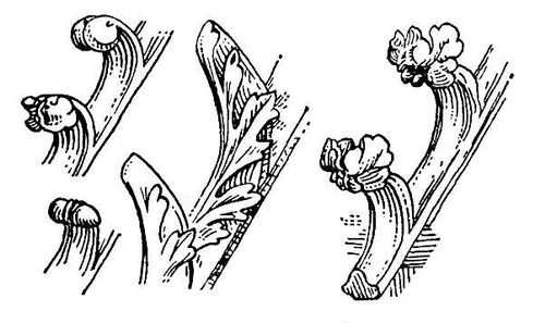 Большая Советская Энциклопедия (КР) i010-001-286465977.jpg