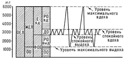 Большая Советская Энциклопедия (ЛЕ) i010-001-253882350.jpg