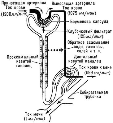 Большая Советская Энциклопедия (МО) i009-001-231245416.jpg