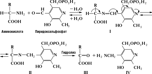 Большая Советская Энциклопедия (ПИ) i-images-151772508.png