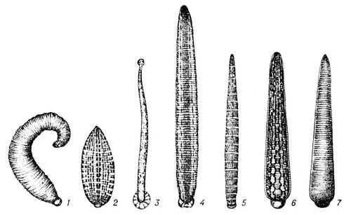 Большая Советская Энциклопедия (ПИ) i009-001-223372477.jpg