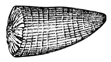 Большая Советская Энциклопедия (РУ) i010-001-257334689.jpg