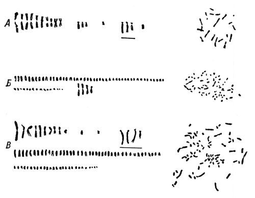 Большая Советская Энциклопедия (СО) i010-001-246643432.jpg