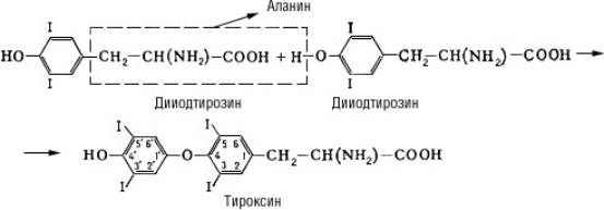 Большая Советская Энциклопедия (ТИ) i-images-119655766.jpg