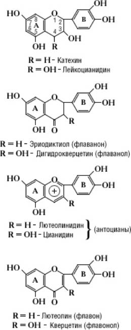 Большая Советская Энциклопедия (ФЛ) i-images-195848599.jpg