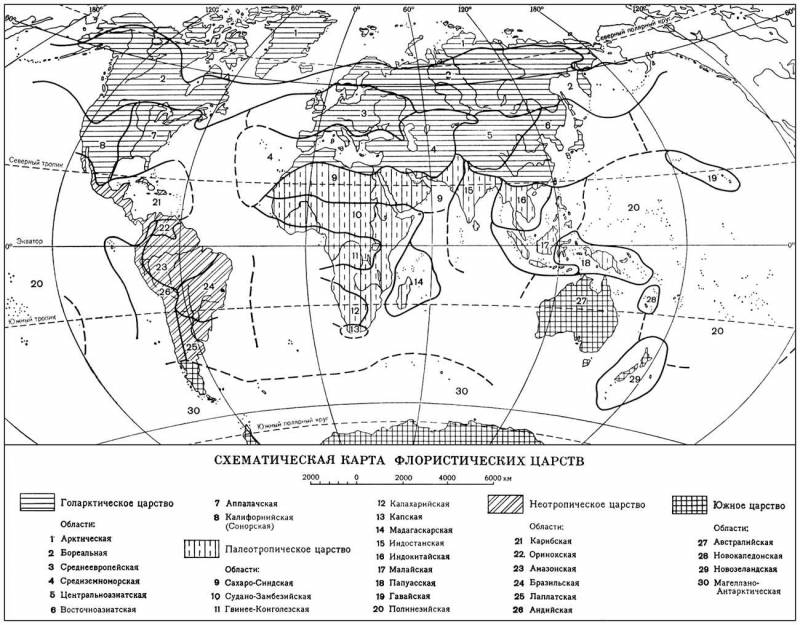 Большая Советская Энциклопедия (ФЛ) i009-001-215966590.jpg