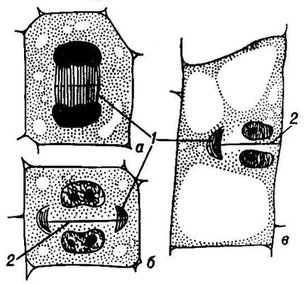 Большая Советская Энциклопедия (ФР) i010-001-245655320.jpg