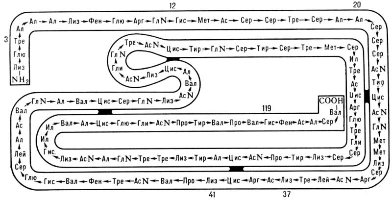 Большая Советская Энциклопедия (ФЕ) i009-001-233863326.jpg