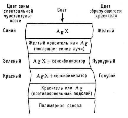 Большая Советская Энциклопедия (ЦВ) i010-001-253436629.jpg