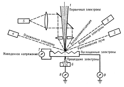 Большая Советская Энциклопедия (ЭЛ) i009-001-203754294.jpg