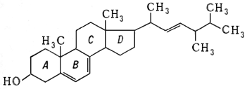 Большая Советская Энциклопедия (ЭР) i-images-172483427.png