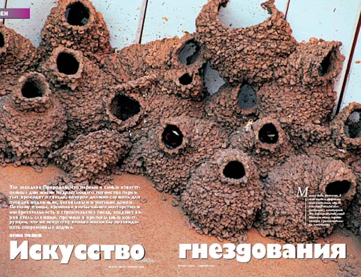 Журнал «Вокруг Света» № 2 за 2005 год (2773) any2fbimgloader0.jpeg