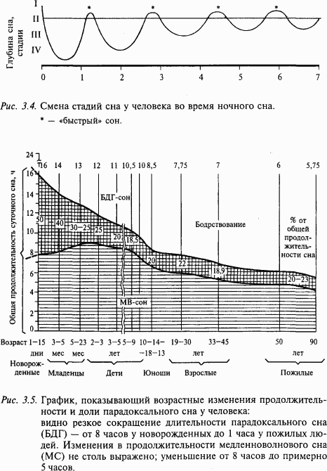 Основы нейрофизиологии i_22.png