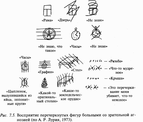 Основы нейрофизиологии i_66.png