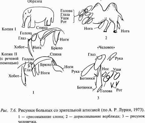 Основы нейрофизиологии i_67.png