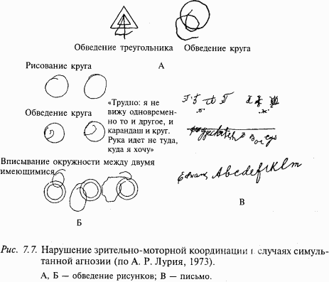 Основы нейрофизиологии i_68.png