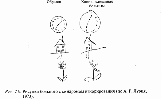 Основы нейрофизиологии i_69.png