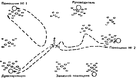 Дрессировка служебных собак i_016.png