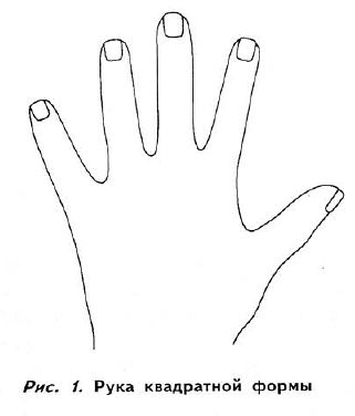 Дуги, петли и завитки на ваших пальцах: расшифруйте тайны нумерологии