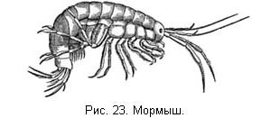 Жизнь и ловля пресноводных рыб. Часть 1 ris023.jpg