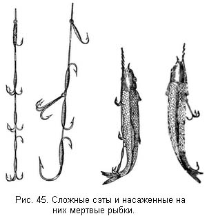 Жизнь и ловля пресноводных рыб. Часть 1 ris045.jpg