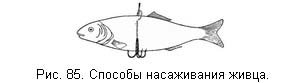 Жизнь и ловля пресноводных рыб. Часть 1 ris085.jpg