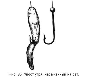 Жизнь и ловля пресноводных рыб. Часть 1 ris095.jpg