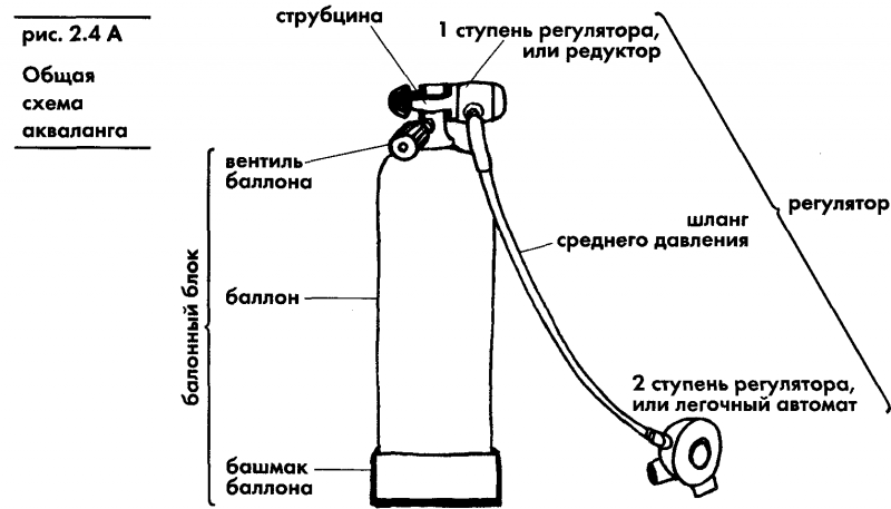 Акваланг и подводное  плавание img_4.png