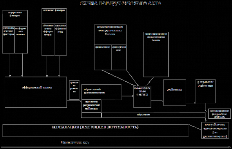 Работа-игра (дрессировка собак — детекторов запахов) i_003.png